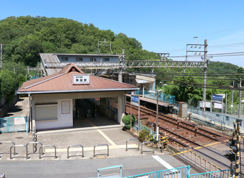 Hiyodorigoesaijo