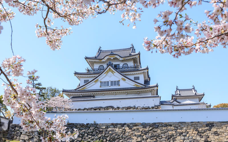 Kishiwadashiritsu saijyo