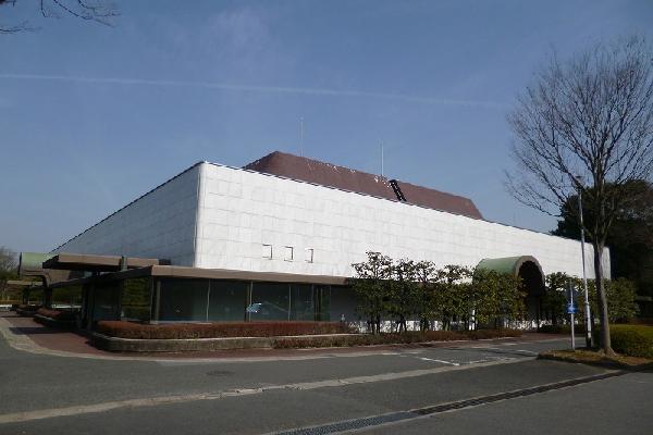 20130322030244 image1 0