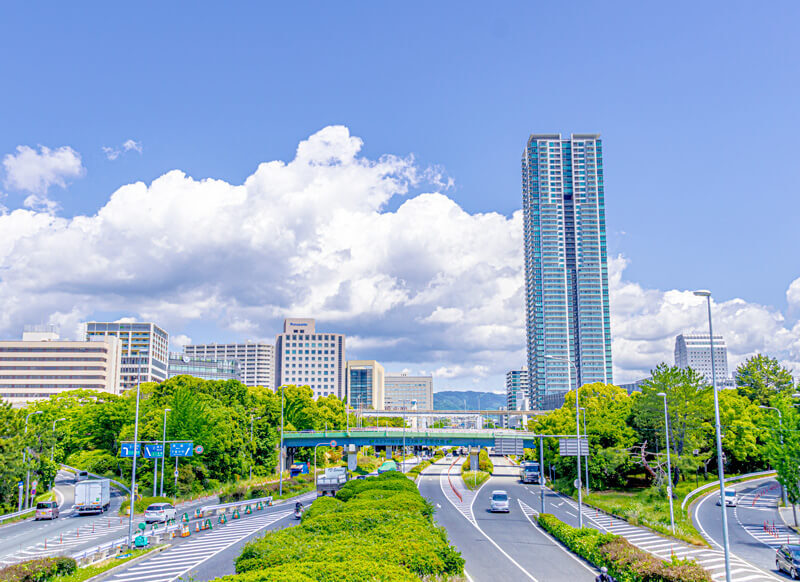 Toyonakashiritsu kasojyo