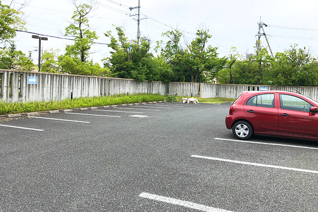 八尾市立斎場駐車場